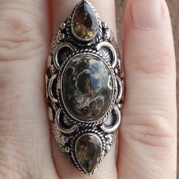 New Turtella Agate Fossil and Smoky Quartz 925 Silver Statement Ring. - Picture 6 of 16